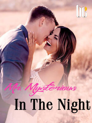 Mr. Mysterious In The Night